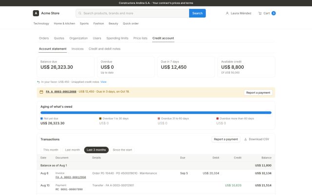 E-commerce B2B · B2B - Finance and Self-Service · Account Statement (Ledger)